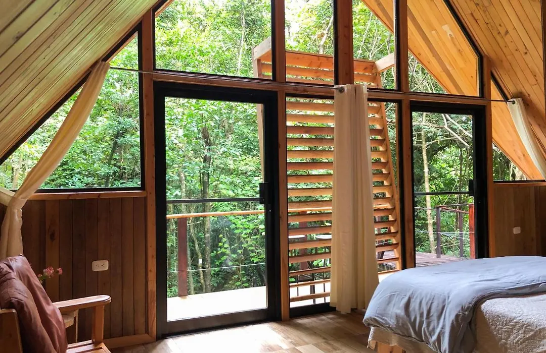Tityra Lodge-1